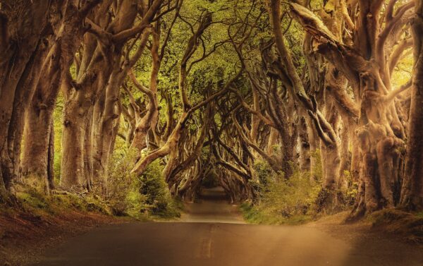 Game of Thrones locations